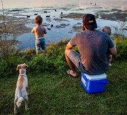 Coleman 16QT Performance Tricolor Koelbox - 15L - Blauw/Grijs -Kampeeruitrusting 1200x1094 11