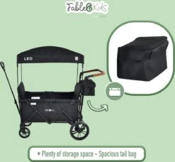 FableKids LEO X2 Lite Opvouwbare Handkar Met Dak Onyx Zwart -Kampeeruitrusting 1200x1109 1