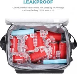 Lifewit 20L Koeltas | 20 Liter | Opvouwbaar | Koelbox-Koeltas | Isolatietas/ Picknicktas Voor Levensmiddelen / Grijs -Kampeeruitrusting 1200x1153 5