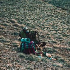 LOWLAND OUTDOOR® Donzen Slaapzak - Super Compact Blanket - 210 X 80 Cm - 590gr +8°C -Kampeeruitrusting 1200x1196 12