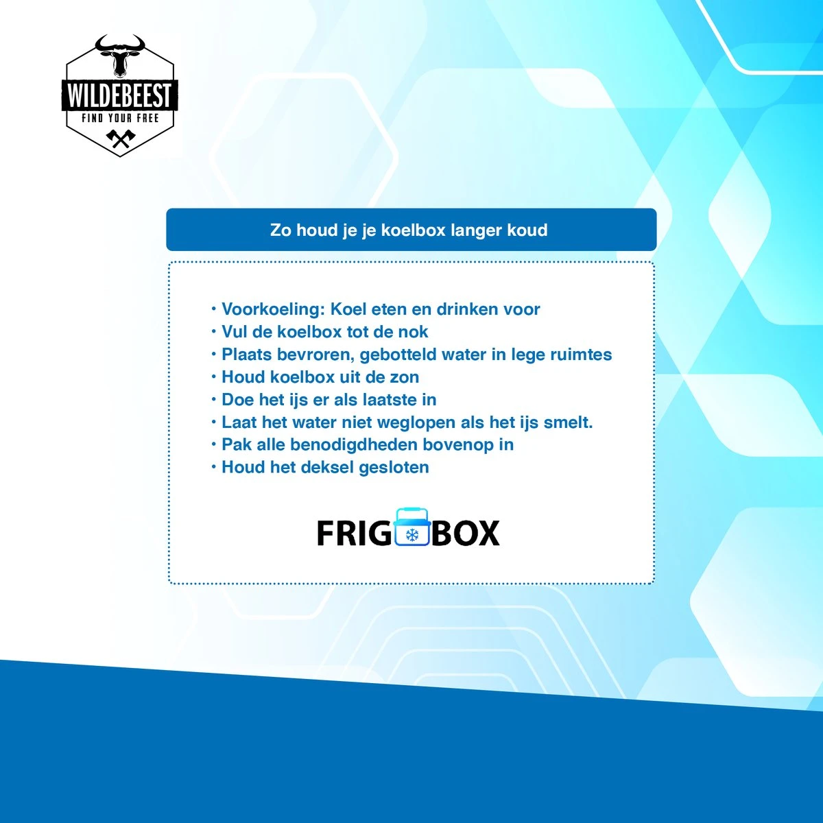 Koelbox Met ECO Modus Voor Auto & Camping Warm En Koud 32L - Frigobox Elektrisch 32 Liter Met 12v 230 Volt - Verkoelt En Verwamt - MiniBar - Mini Koelkast 8 Koelbox Met ECO Modus Voor Auto & Camping Warm En Koud 32L - Frigobox Elektrisch 32 Liter Met 12v 230 Volt - Verkoelt En Verwamt - MiniBar - Mini Koelkast - Afbeelding 8